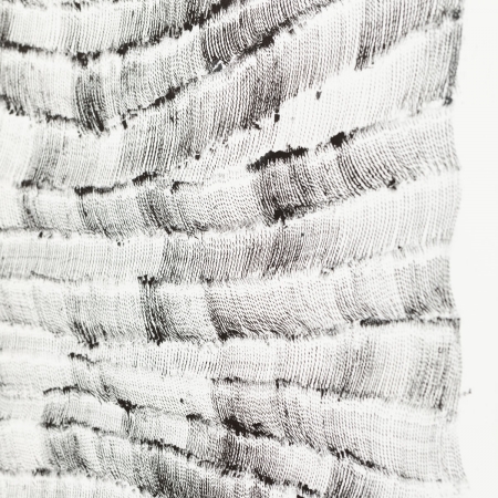 Threads #2, ink on paper, 48 in x 36 in, 2023